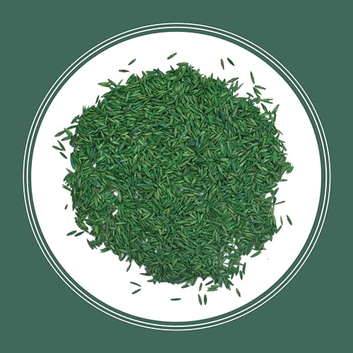 Pennington Kentucky 31 Tall Fescue Penkoted Grass Seed 40 lbs V4063