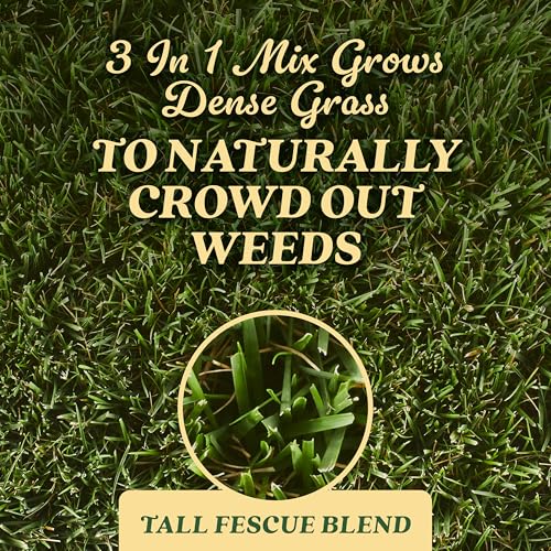 Scotts Tall Fescue Blend Grass Seed with Fertilizer and Soil Improver, 8 lbs A926
