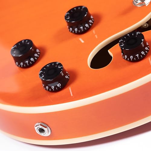 Redid Semi-Hollow Body Electric Guitar RD-100 with F-Hole, Maple Neck, Humbucker Pickups G2932