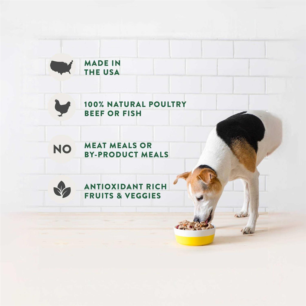 Freshpet Dog Food Chunky Beef Recipe S5859