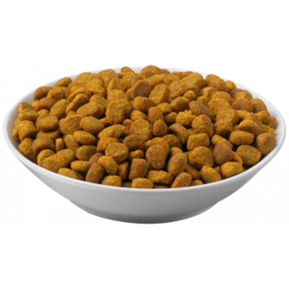 Purina Pro Plan Veterinary Diets OM Overweight Management Dry Cat Food X22288