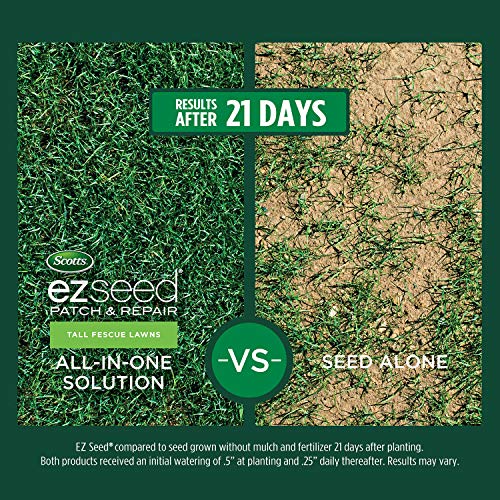 Scotts EZ Seed Patch & Repair Tall Fescue Lawns 10 lb. B1626