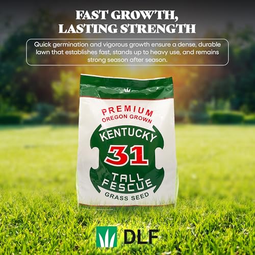 X-Seed Oregon Grown Kentucky 31 Tall Fescue Grass Seed for Sun and Shade, 5 lb Bag F733