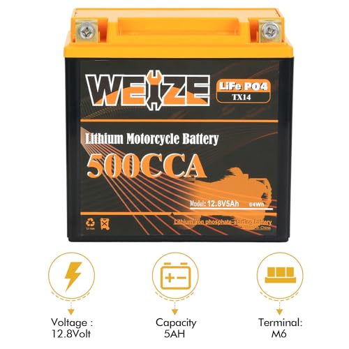 Weize Lithium YTX30L-BS 12V 10AH LiFePO4 Motorcycle Battery with Smart BMS E599001
