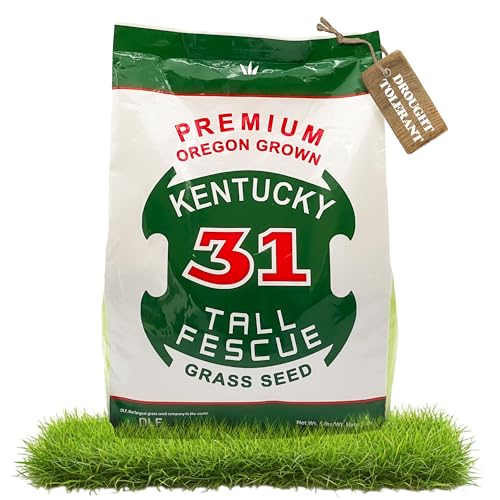 X-Seed Oregon Grown Kentucky 31 Tall Fescue Grass Seed for Sun and Shade, 5 lb Bag F733