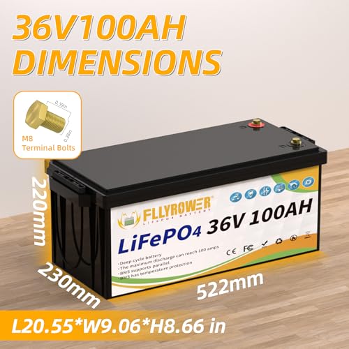 FLLYROWER 12V 100Ah LiFePO4 Battery with BMS for Marine RV Solar I833