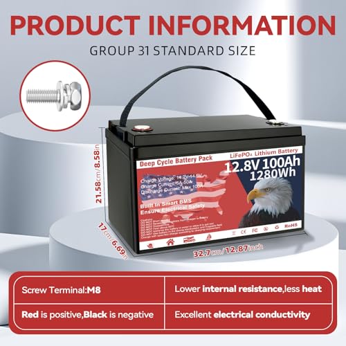 12V 100Ah LiFePO4 Battery Group 31 with Low-Temp Protection and Smart BMS V57851